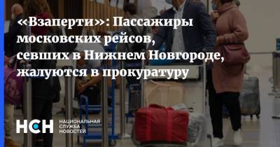 «Взаперти»: Пассажиры московских рейсов, севших в Нижнем Новгороде, жалуются в прокуратуру - nsn.fm - Москва - Нижний Новгород - Нижний Новгород