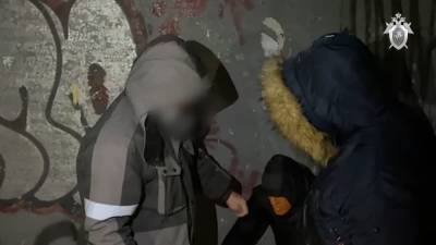 Житель Ленобласти ответить перед судом за убийство и изнасилование девушки - neva.today - Ленинградская обл. - Санкт-Петербург - район Гатчинский