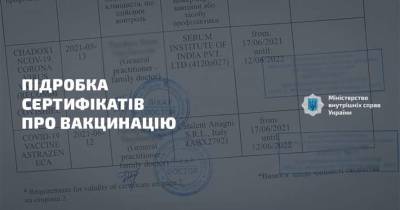 В аэропорту «Борисполь» снова выявили поддельные сертификаты о вакцинации - lenta.ua - Украина