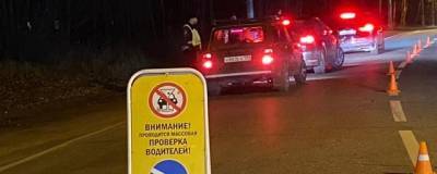 В Раменском полиция провела рейд «Нетрезвый водитель» - runews24.ru - Раменское