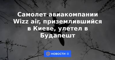 Виктор Водолацкий - Самолет авиакомпании Wizz air, приземлившийся в Киеве, улетел в Будапешт - news.mail.ru - Москва - Россия - Украина - Киев - Венгрия - Будапешт