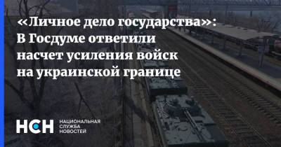 Юрий Швыткин - «Личное дело государства»: В Госдуме ответили насчет усиления войск на украинской границе - nsn.fm - Украина - Донбасс