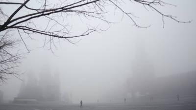 Евгений Тишковец - Специалист «Фобоса» Тишковец рассказал о причинах тумана в Москве - russian.rt.com - Москва - Екатеринбург