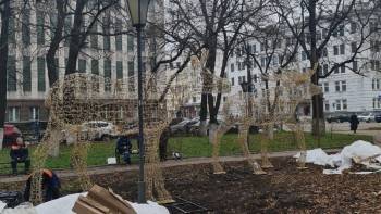 Сергей Воропанов - Светящиеся лоси поселились на время в Октябрьском сквере Вологды - vologda-poisk.ru - Вологда