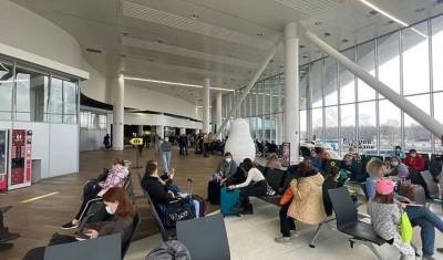 СК начал проверку по факту длительных задержек рейсов в нижегородском аэропорту - newizv.ru - Москва - Краснодар - Нижний Новгород