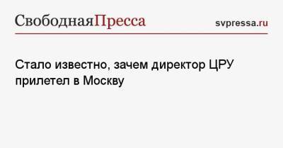 Уильям Бернс - Джо Байден - Стало известно, зачем директор ЦРУ прилетел в Москву - svpressa.ru - Москва - Россия - США