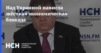 Владимир Зеленский - Владимир Джабаров - Над Украиной нависла жёсткая экономическая блокада - nsn.fm - Россия - Украина - Киев - Крым - Донбасс