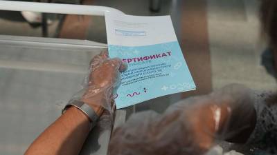Сергей Токарев - В Минздраве заявили о необходимости сократить срок действия QR-кодов - iz.ru - Россия - Израиль - окр. Уральский