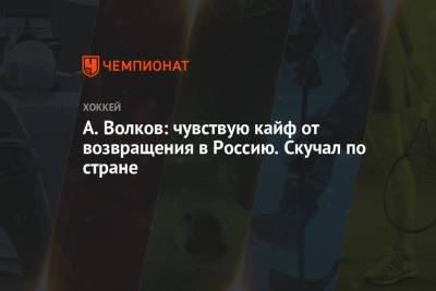 Александр Волков - Елена Кузнецова - А. Волков: чувствую кайф от возвращения в Россию. Скучал по стране - championat.com - Россия - Санкт-Петербург