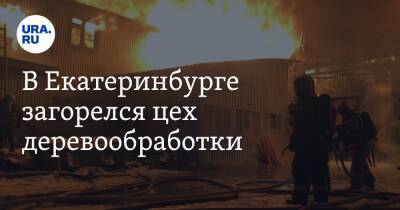 В Екатеринбурге загорелся цех деревообработки. Площадь пожара 1200 квадратных метров - ura.news - Россия - Екатеринбург - Свердловская обл.