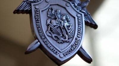 СК в Ленобласти возбудил дело после смерти рабочего у плотины ГЭС - neva.today - Россия - Ленинградская обл. - Санкт-Петербург