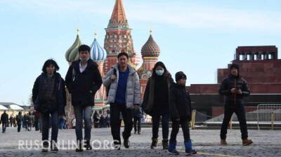 "Готовился испытать разочарование": индиец приехал в Россию и оказался сильно удивлен - rusonline.org - Москва - Россия - Индия - Волгоград
