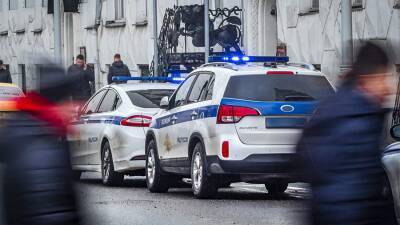 Ирина Волк - МВД сообщило о снижении числа преступлений в 2021 году - iz.ru - Россия - Израиль