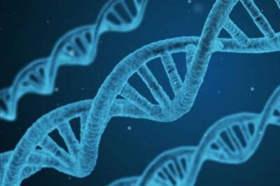 Валерий Черешнев - Японские учёные создали первую искусственную геномную ДНК - aif.ru - Токио - Япония