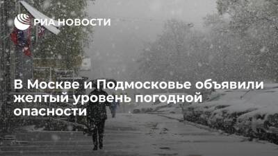 В Москве и Подмосковье объявили желтый уровень погодной опасности из-за мокрого снега - ria.ru - Москва - Московская обл.