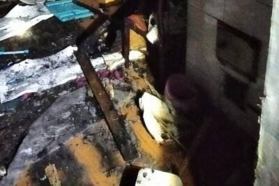 Мамаша вспомнила про собаку и кошку, но забыла про детей в пожаре - arh.mk.ru