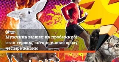 Мужчина вышел на пробежку и стал героем, который спас сразу четыре жизни - ridus.ru - США - шт. Калифорния