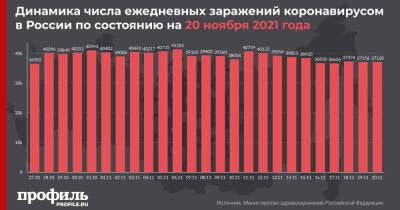 Суточная смертность от коронавируса в России повторила антирекорд - profile.ru - Москва - Россия - Санкт-Петербург