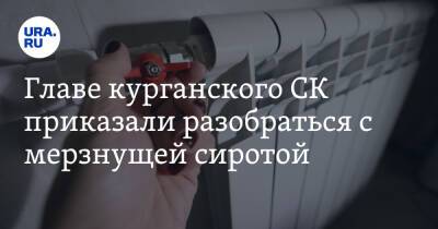 Александр Бастрыкин - Главе курганского СК приказали разобраться с мерзнущей сиротой - ura.news - Россия - Курганская обл. - Курган