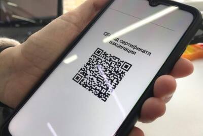 Россияне против QR-кодов - fokus-vnimaniya.com - Россия - Новосибирск - Новости