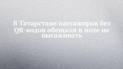 Фарит Ханифов - В Татарстане пассажиров без QR-кодов обещали в поле не высаживать - chelny-izvest.ru - респ. Татарстан
