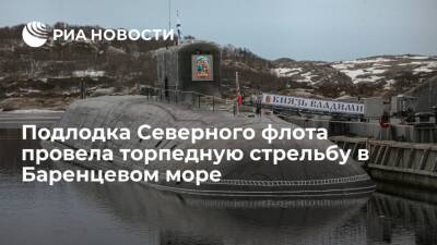 Атомная подлодка Северного флота провела торпедную стрельбу в Баренцевом море - ria.ru - Москва - Россия
