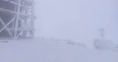 Сугробы до 1 метра. В Карпатах выпал снег и ударил мороз в -5 градусов - focus.ua - Украина