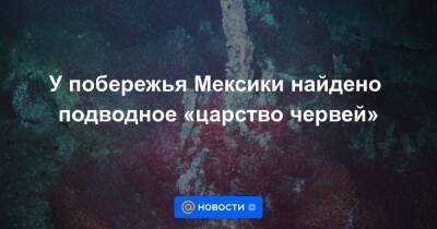 У побережья Мексики найдено подводное «царство червей» - news.mail.ru - Мексика