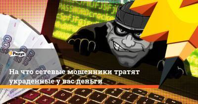 На что сетевые мошенники тратят украденные у вас деньги - ridus.ru