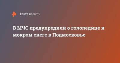 В МЧС предупредили о гололедице и мокром снеге в Подмосковье - ren.tv - Московская обл.