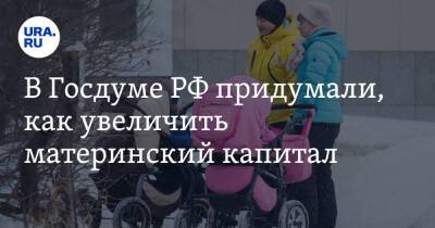Ярослав Нилов - В Госдуме РФ придумали, как увеличить материнский капитал - ura.news - Россия
