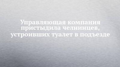 Управляющая компания пристыдила челнинцев, устроивших туалет в подъезде - chelny-izvest.ru - Набережные Челны