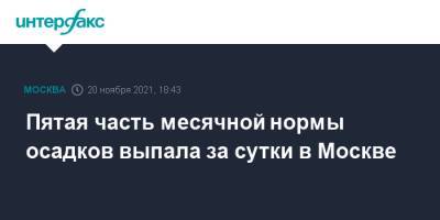 Пятая часть месячной нормы осадков выпала за сутки в Москве - interfax.ru - Москва - Россия