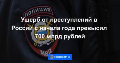 Ущерб от преступлений в России с начала года превысил 700 млрд рублей - news.mail.ru - Россия