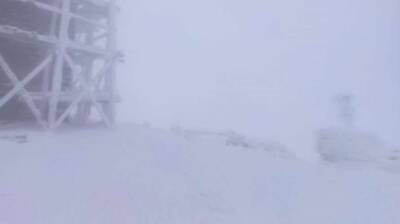 Евгений Медведев - В Карпатах намело до метра снега - lenta.ua - Украина