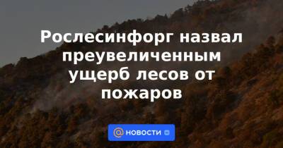 Рослесинфорг назвал преувеличенным ущерб лесов от пожаров - news.mail.ru