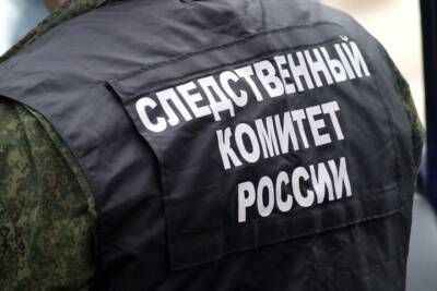 СК возбудил уголовное дело после смерти младенца в ДТП в Новой Москве - vm.ru - Москва - Россия - поселение Сосенское - Следственный Комитет