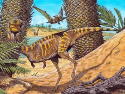Не имел зубов: ученые обнаружили новый вид динозавра, останки которого нашли в Бразилии - unn.com.ua - Украина - Киев - Бразилия - Brazil