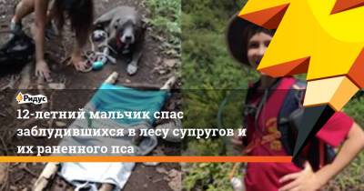 12-летний мальчик спас заблудившихся в лесу супругов и их раненного пса - ridus.ru - США - штат Гавайи