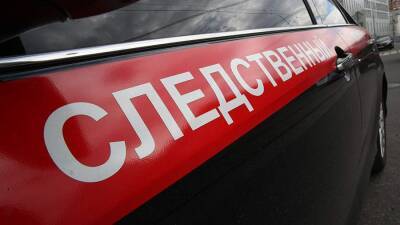 Подростка жестоко избили в массовой драке в Подмосковье - iz.ru - Россия - Израиль - Московская обл.