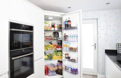 3 предмета, которые стоит класть в холодильник: не только продукты - skuke.net