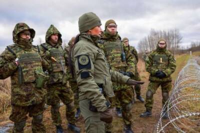 В Эстонии начали строить заграждения на границе с Россией - lenta.ua - Россия - Украина - Эстония