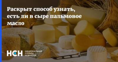 Андрей Матвеев - Раскрыт способ узнать, есть ли в сыре пальмовое масло - nsn.fm - Россия