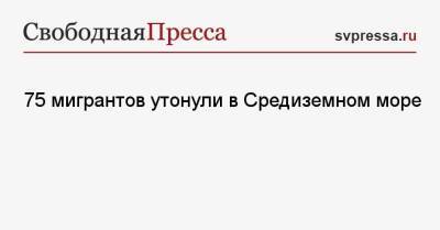 75 мигрантов утонули в Средиземном море - svpressa.ru - Польша - Ливия
