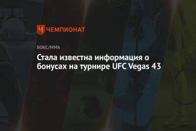 Стала известна информация о бонусах на турнире UFC Vegas 43 - championat.com - США - Вегас