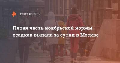 Пятая часть ноябрьской нормы осадков выпала за сутки в Москве - ren.tv - Москва - Россия