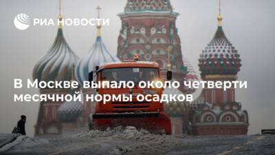 Роман Вильфанд - Научный руководитель Гидрометцентра Вильфанд оценил сообщения СМИ об "снегопаде" в Москве - ria.ru - Москва
