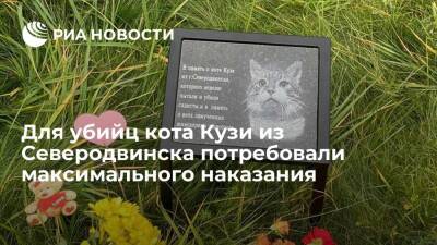 Эдгар Запашный - Паре из Северодвинска, убившей кота Кузю, требуют назначить самое жесткое наказание - ria.ru - Москва - Россия - Архангельская обл. - Северодвинск