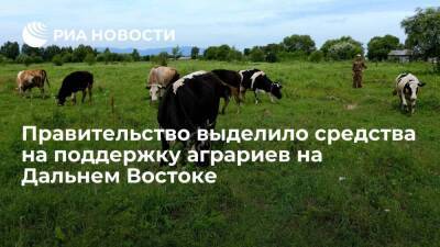 Михаил Мишустин - Правительство выделило почти 1,4 миллиарда рублей на поддержку аграриев на Дальнем Востоке - smartmoney.one - Амурская обл. - Хабаровский край - респ. Саха - Еврейская обл. - окр. Дальневосточный - Забайкальский край