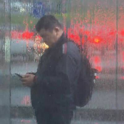 Роман Вильфанд - В Москве выпало около четверти месячной нормы осадков - radiomayak.ru - Москва